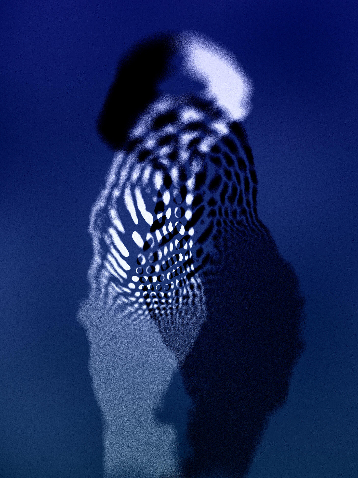 Naiadic Variations #15, 2024. Benjamin Elwyn. MIME: application/x-directory, Token: FA2, Storage: on-chain, Contract: KT1...