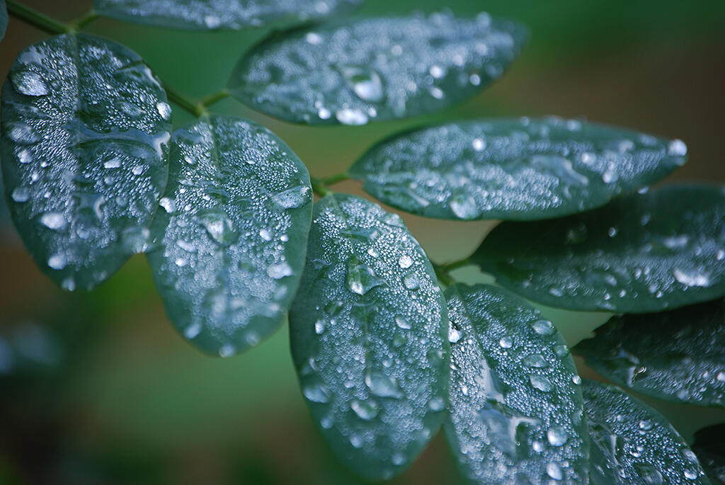 Glittering Steps, 2023. Malicious Sheep. MIME: image/jpeg, Token: FA2, Storage: IPFS, Contract: KT1...