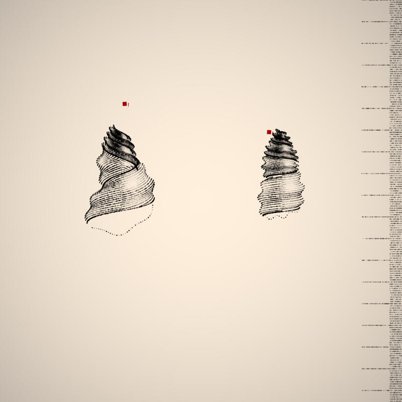 Two Specimen #252, 2021. Orr Kislev. MIME: application/x-directory, Token: FA2, Storage: IPFS, Contract: KT1...