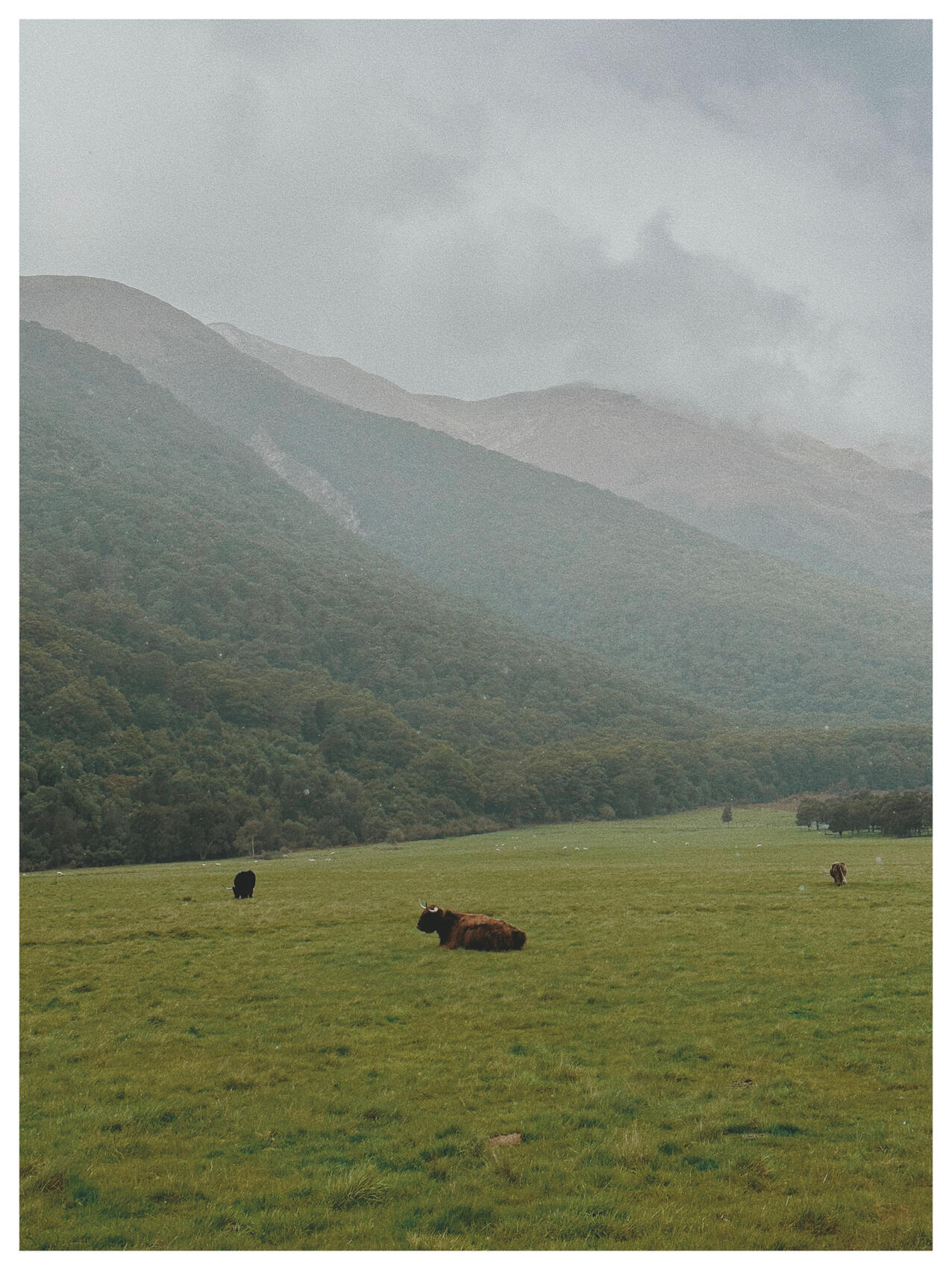 NZ..44..13..4.080-169..14..24.132, 2022. lemonde2d. MIME: image/jpeg, Token: FA2, Storage: IPFS, Contract: KT1...