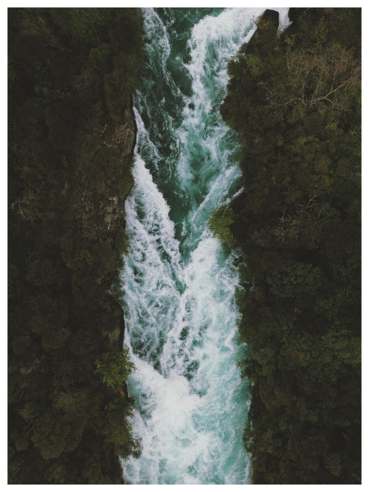 NZ..44..34..52.878-169..14..47.418, 2022. lemonde2d. MIME: image/jpeg, Token: FA2, Storage: IPFS, Contract: KT1...