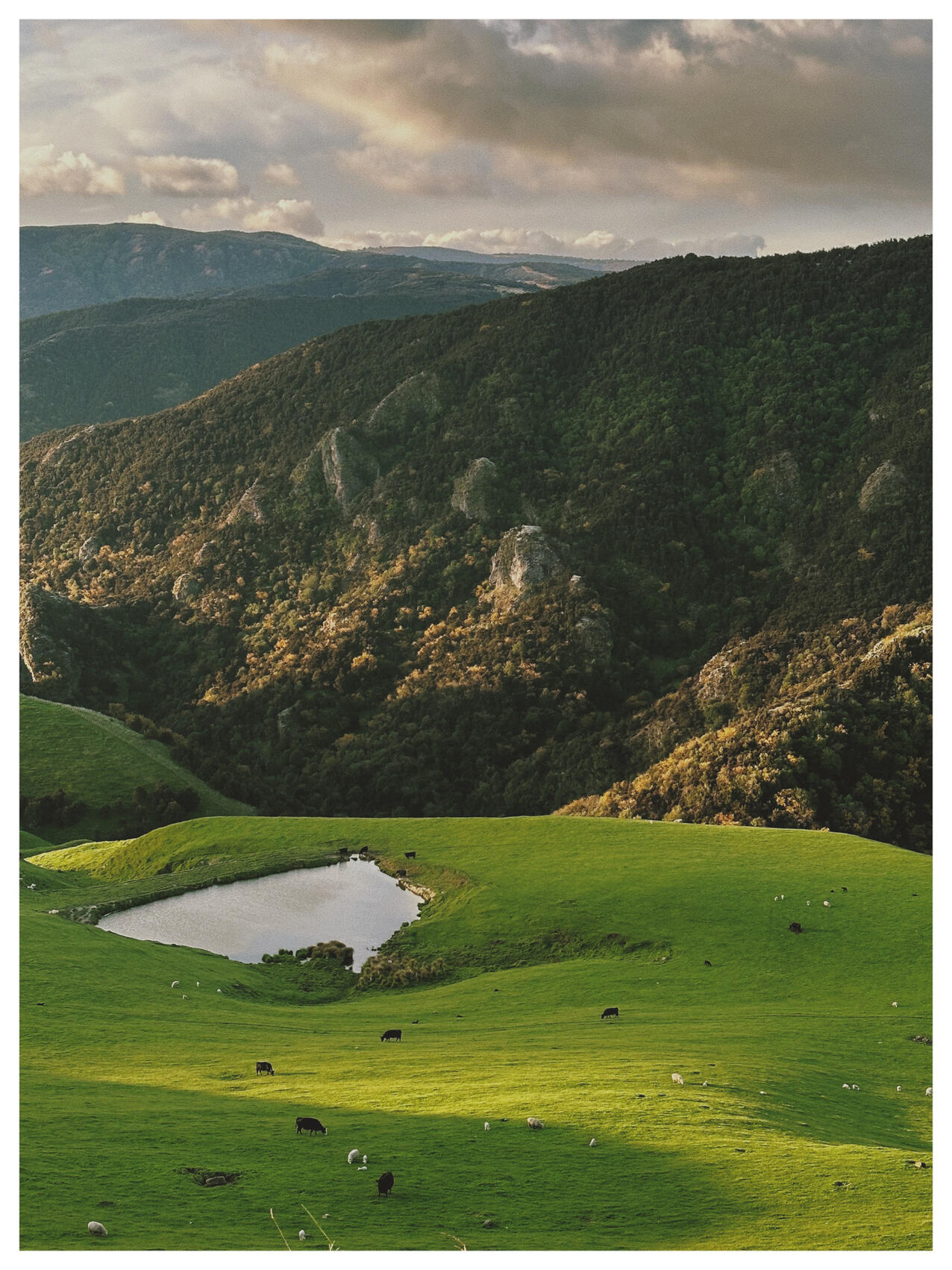 NZ..39..28..18.288-176..3..47.640, 2022. lemonde2d. MIME: image/jpeg, Token: FA2, Storage: IPFS, Contract: KT1...