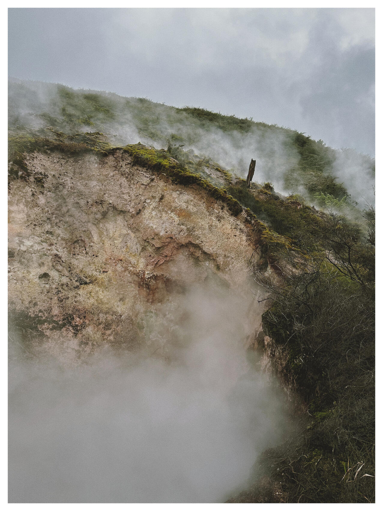 NZ..38..38..36.228-176..4..5.710, 2022. lemonde2d. MIME: image/jpeg, Token: FA2, Storage: IPFS, Contract: KT1...