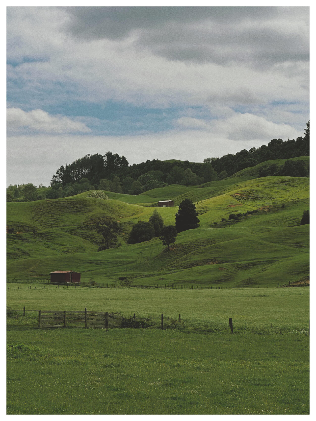 NZ..38..12..15.738-175..9..48.810, 2022. lemonde2d. MIME: image/jpeg, Token: FA2, Storage: IPFS, Contract: KT1...