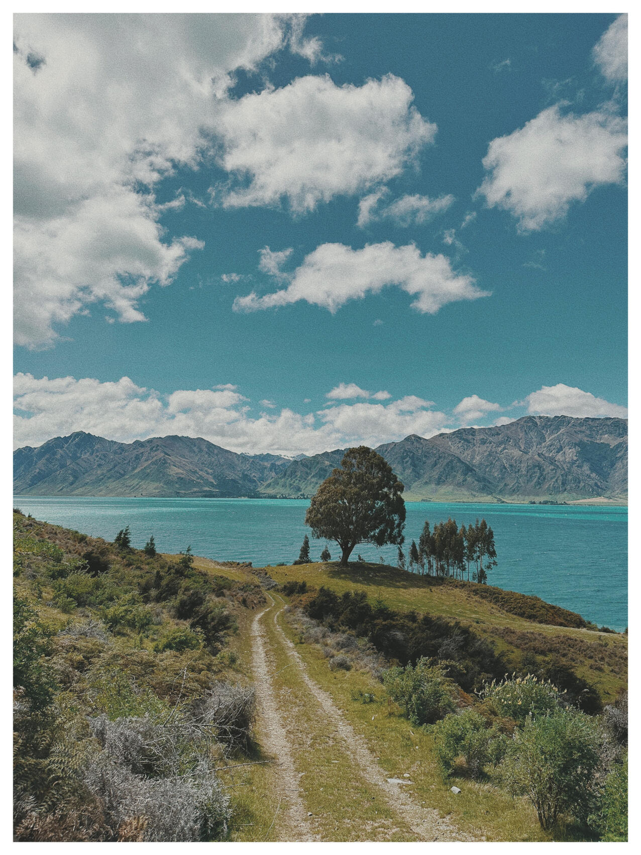 NZ..39..27..8.088-176..9..8.990, 2022. lemonde2d. MIME: image/jpeg, Token: FA2, Storage: IPFS, Contract: KT1...