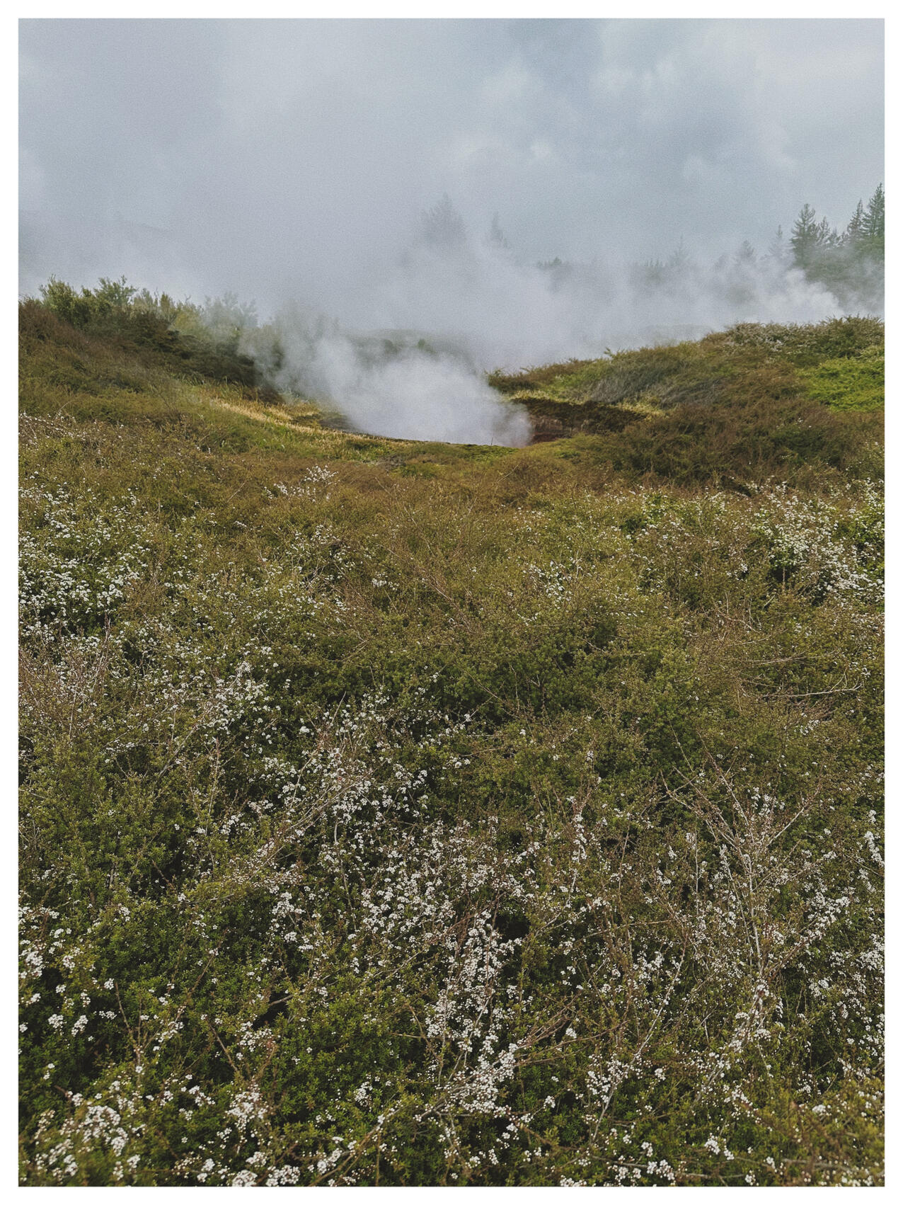 NZ..38..38..52.272-176..4..5.160, 2022. lemonde2d. MIME: image/jpeg, Token: FA2, Storage: IPFS, Contract: KT1...