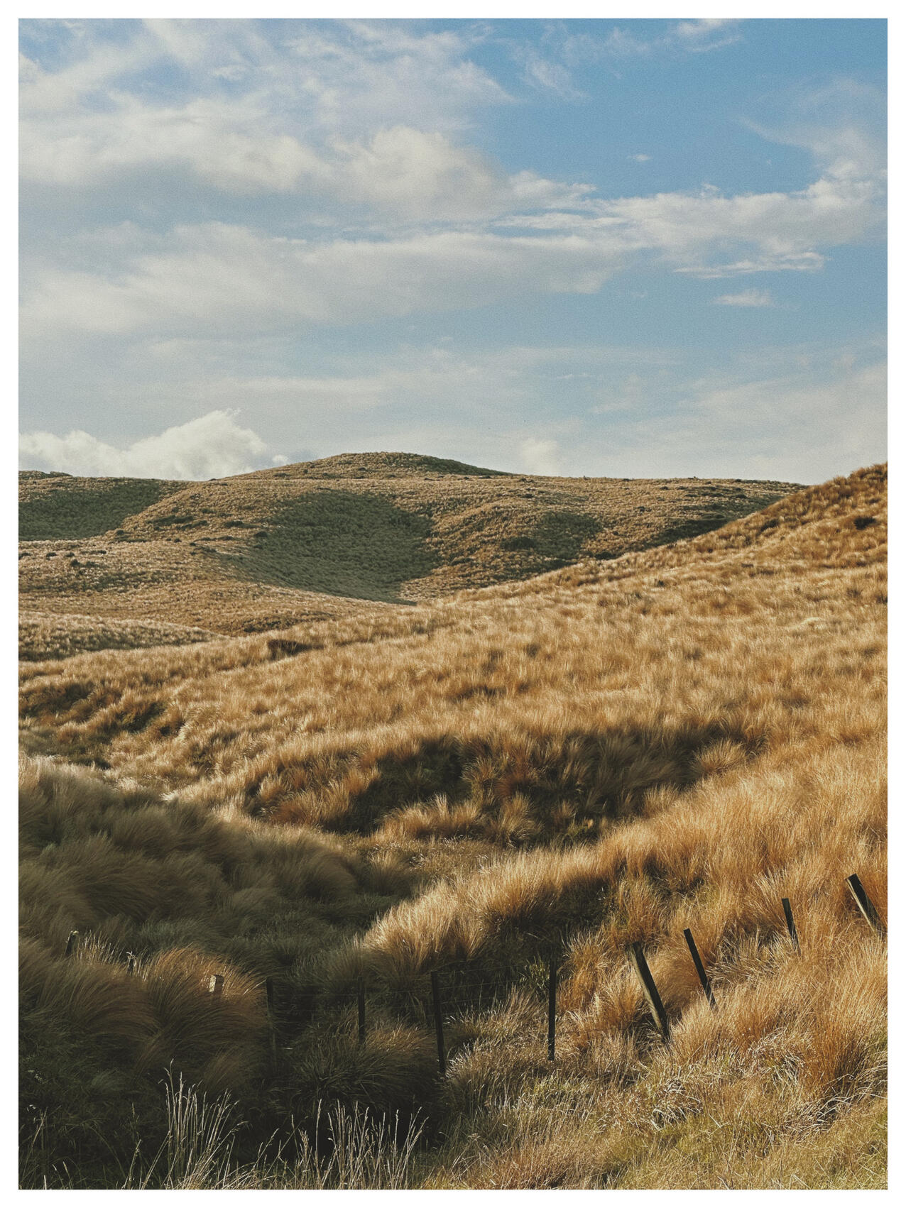 NZ..39..27..8.088-176..9..8.990, 2022. lemonde2d. MIME: image/jpeg, Token: FA2, Storage: IPFS, Contract: KT1...