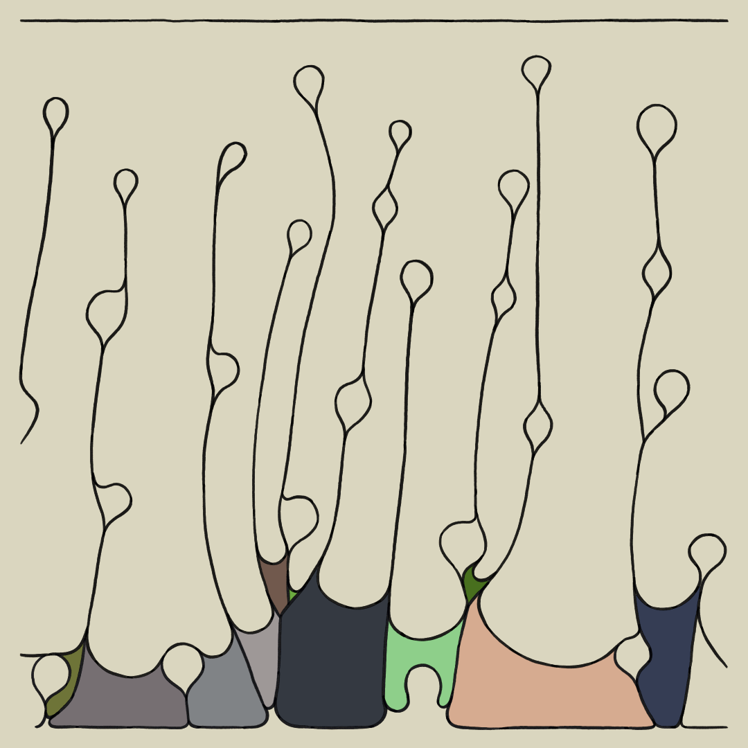 Field Cycle, 2022. Clint Fulkerson. MIME: image/gif, Token: FA2, Storage: IPFS, Contract: KT1...