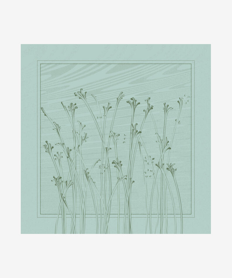 DCRay Hong Kong string_pllu, 2022 Code-based generative, long-form