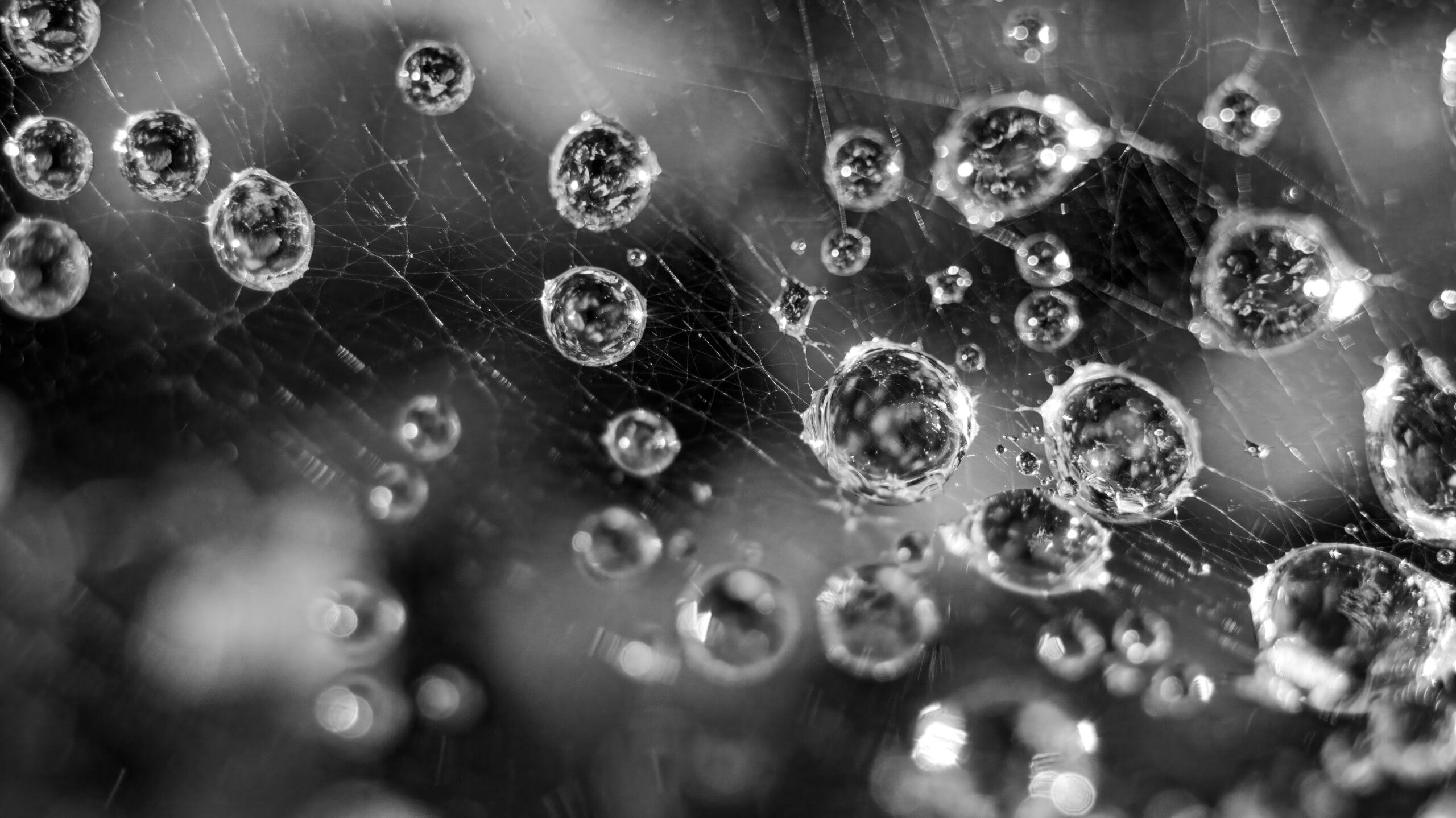 A Crystalline Landscape, 2023. Aleksejs Zuravlovs. MIME: image/jpeg, Token: FA2, Storage: IPFS, Contract: KT1...