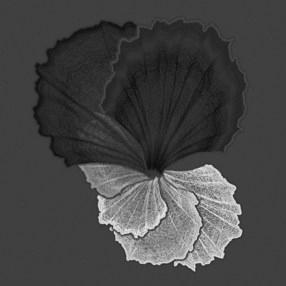 Padina #94, 2022. Paweł Grzelak. MIME: application/x-directory, Token: FA2, Storage: IPFS, Contract: KT1...