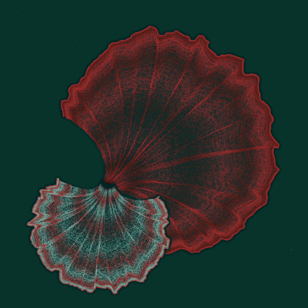 Padina #46, 2022. Paweł Grzelak. MIME: application/x-directory, Token: FA2, Storage: IPFS, Contract: KT1...