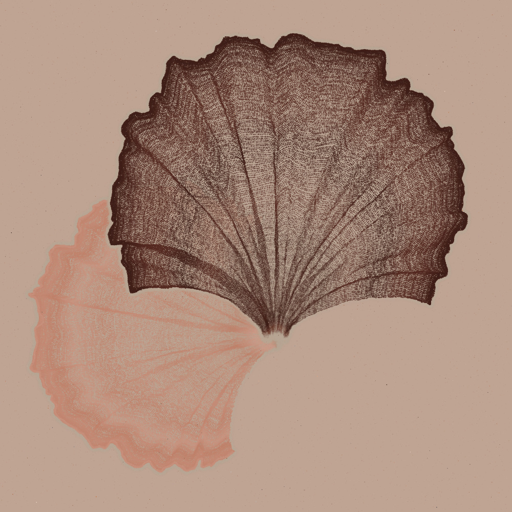 Padina #205, 2022. Paweł Grzelak. MIME: application/x-directory, Token: FA2, Storage: IPFS, Contract: KT1...