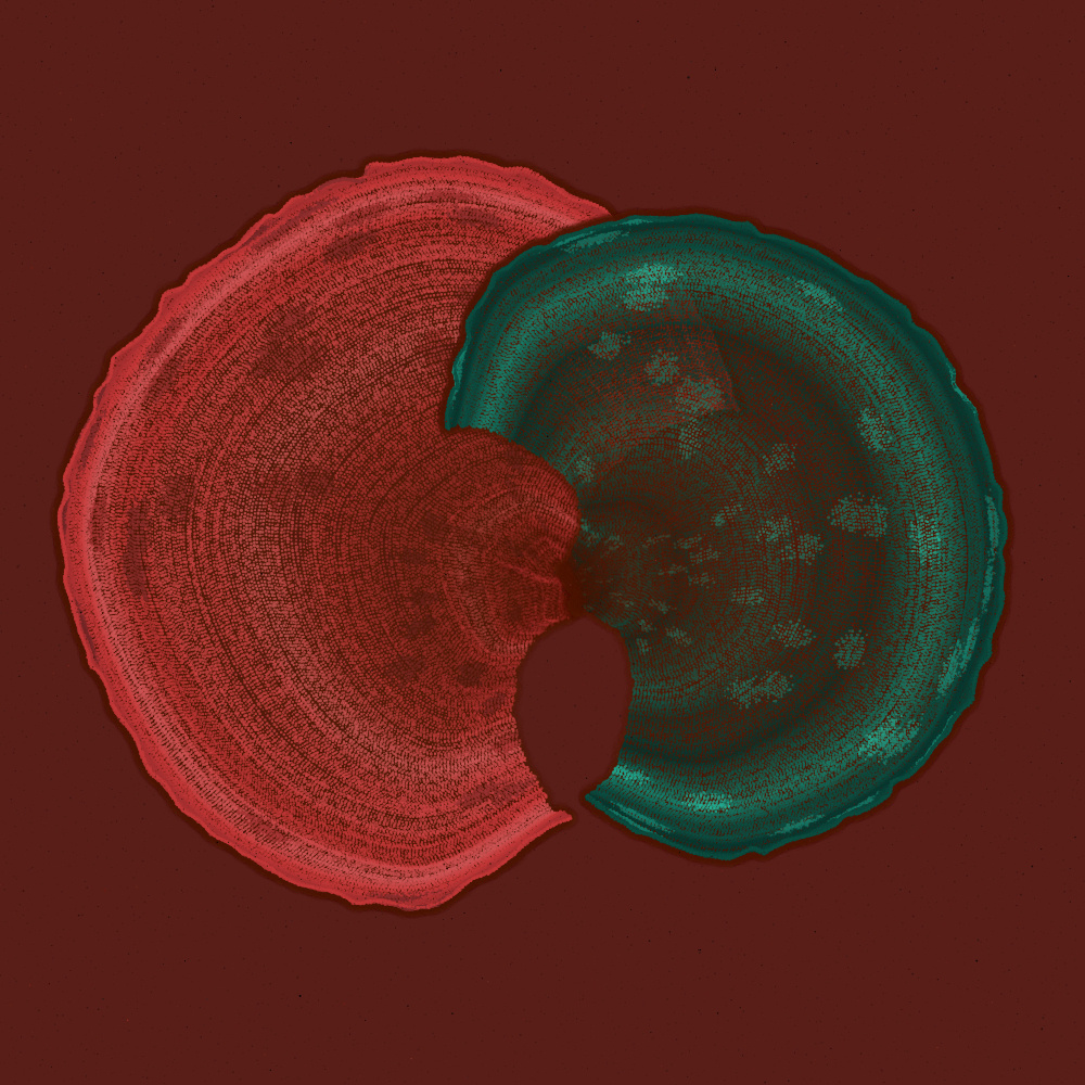 Padina #12, 2022. Paweł Grzelak. MIME: application/x-directory, Token: FA2, Storage: IPFS, Contract: KT1...