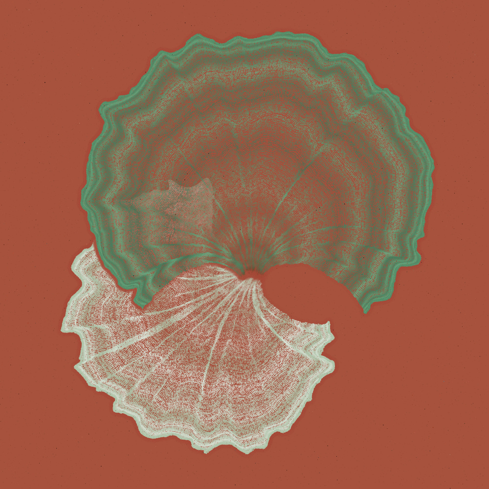 Padina #32, 2022. Paweł Grzelak. MIME: application/x-directory, Token: FA2, Storage: IPFS, Contract: KT1...