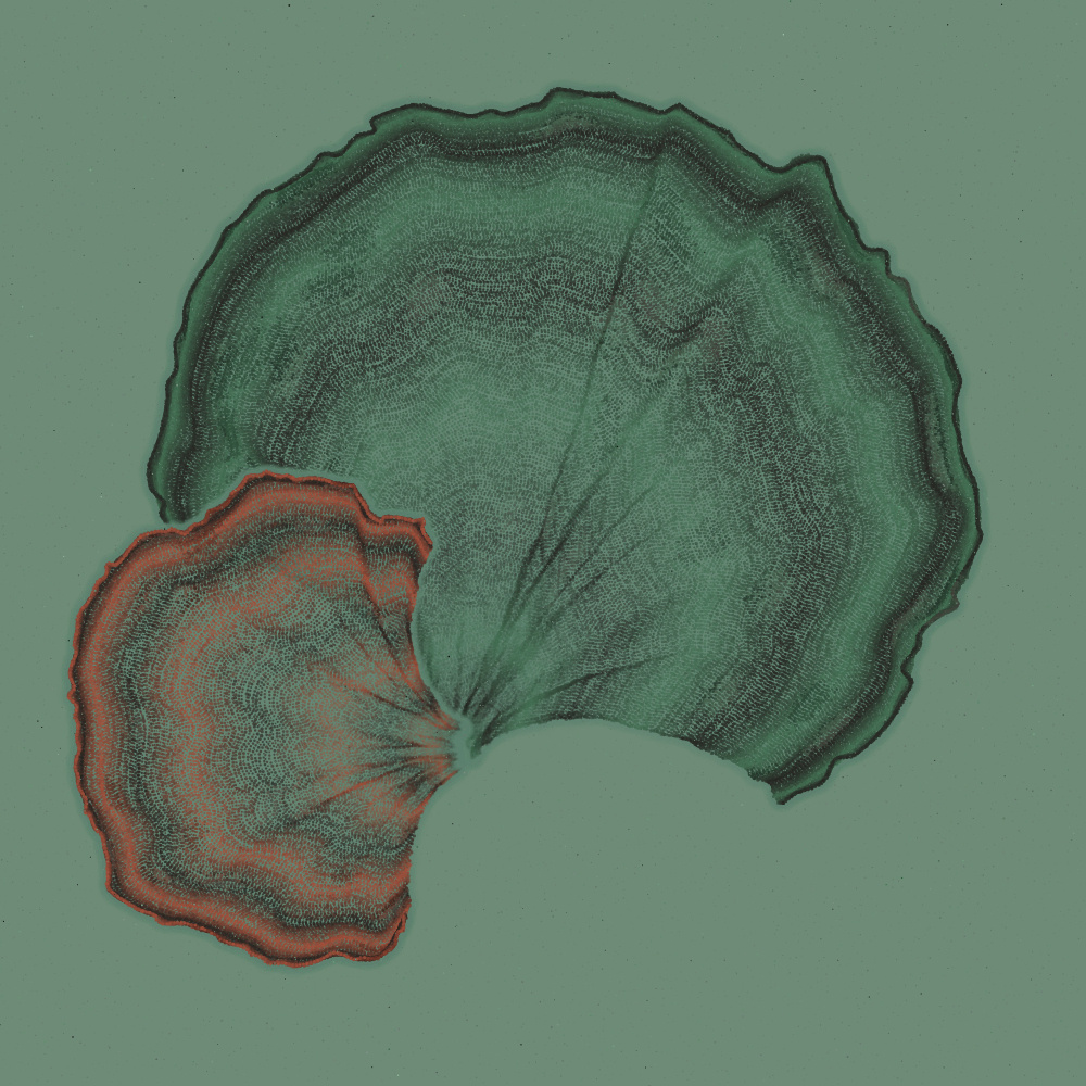 Padina #109, 2022. Paweł Grzelak. MIME: application/x-directory, Token: FA2, Storage: IPFS, Contract: KT1...