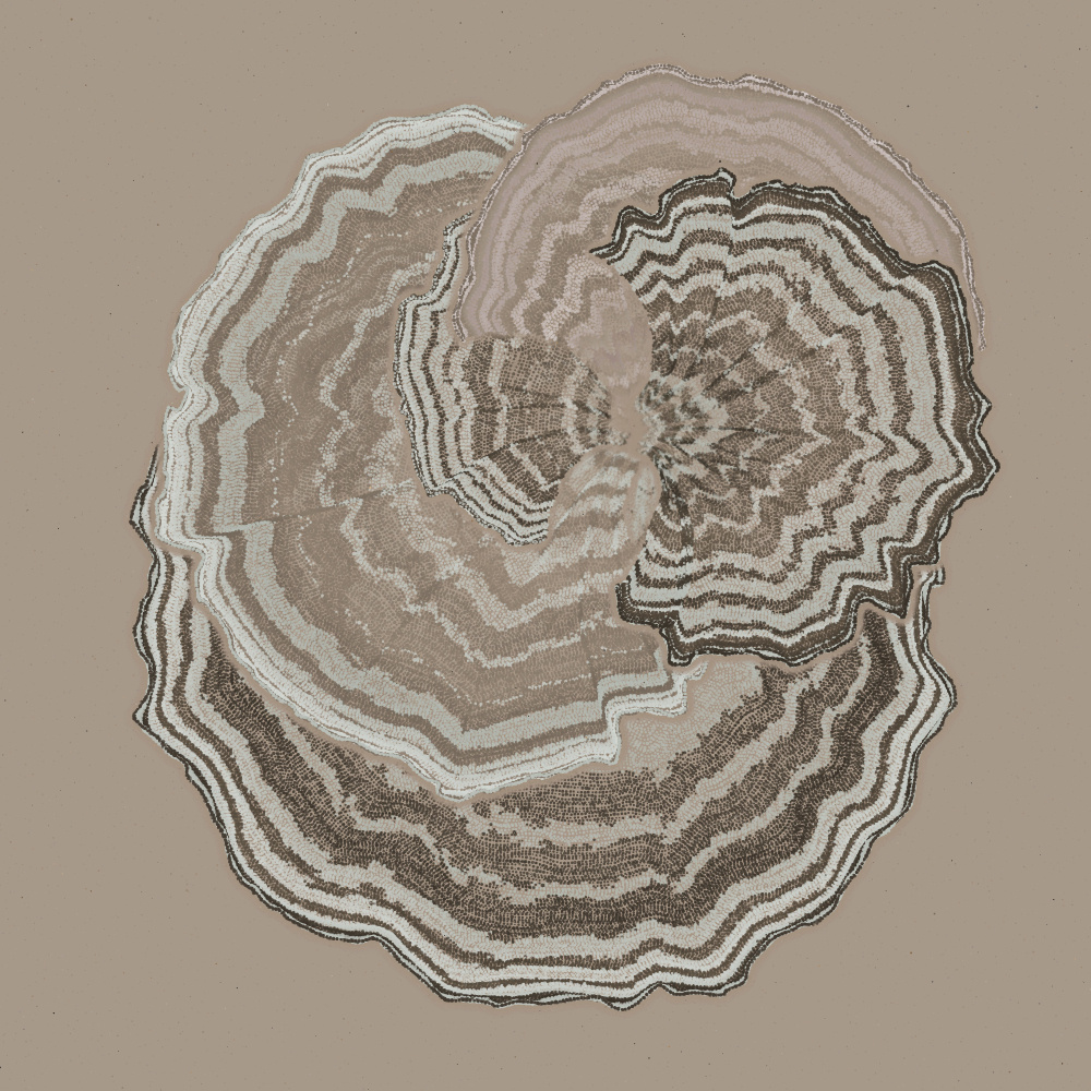 Padina #110, 2022. Paweł Grzelak. MIME: application/x-directory, Token: FA2, Storage: IPFS, Contract: KT1...