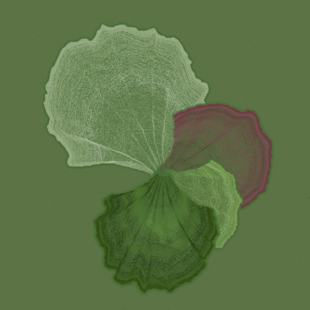 Padina #166, 2022. Paweł Grzelak. MIME: application/x-directory, Token: FA2, Storage: IPFS, Contract: KT1...