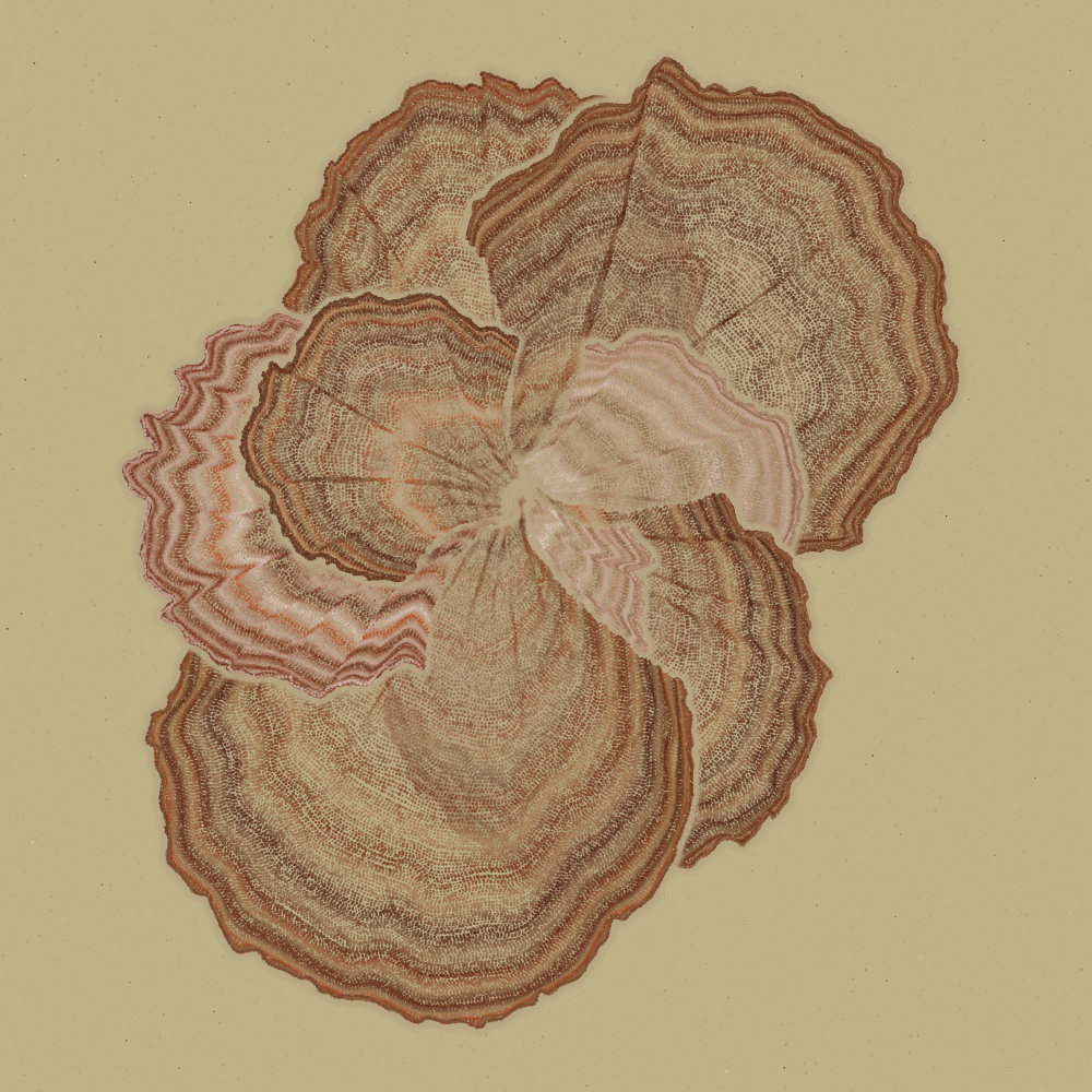 Padina #97, 2022. Paweł Grzelak. MIME: application/x-directory, Token: FA2, Storage: IPFS, Contract: KT1...