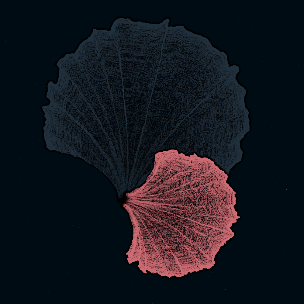 Padina #15, 2022. Paweł Grzelak. MIME: application/x-directory, Token: FA2, Storage: IPFS, Contract: KT1...