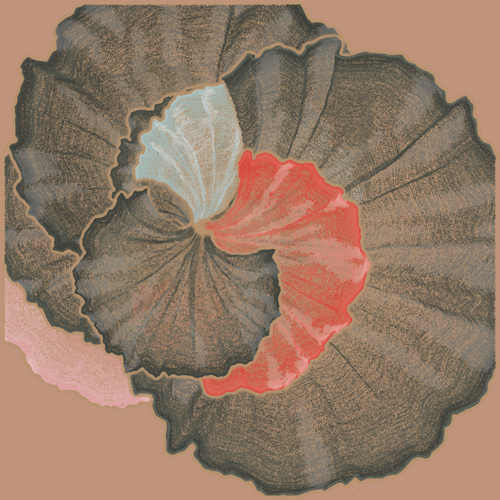 Padina #176, 2022. Paweł Grzelak. MIME: application/x-directory, Token: FA2, Storage: IPFS, Contract: KT1...