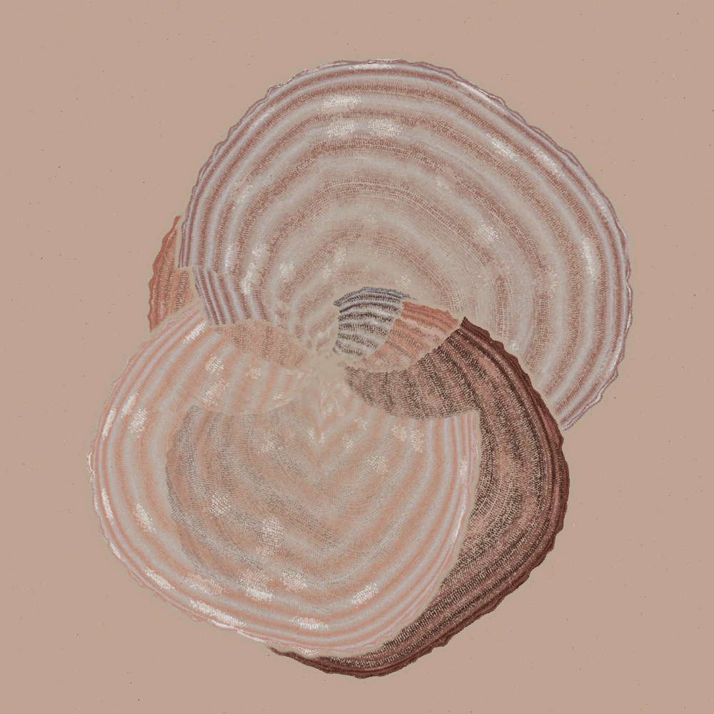 Padina #48, 2022. Paweł Grzelak. MIME: application/x-directory, Token: FA2, Storage: IPFS, Contract: KT1...