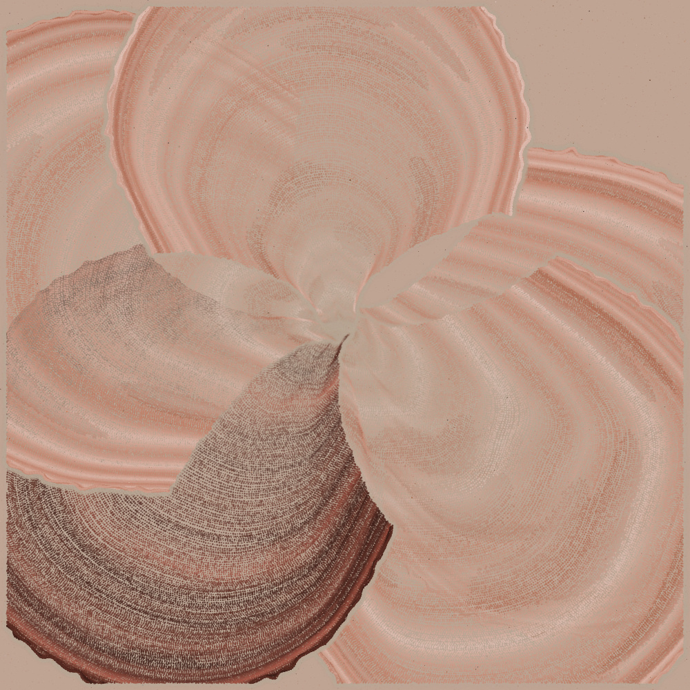 Padina #203, 2022. Paweł Grzelak. MIME: application/x-directory, Token: FA2, Storage: IPFS, Contract: KT1...