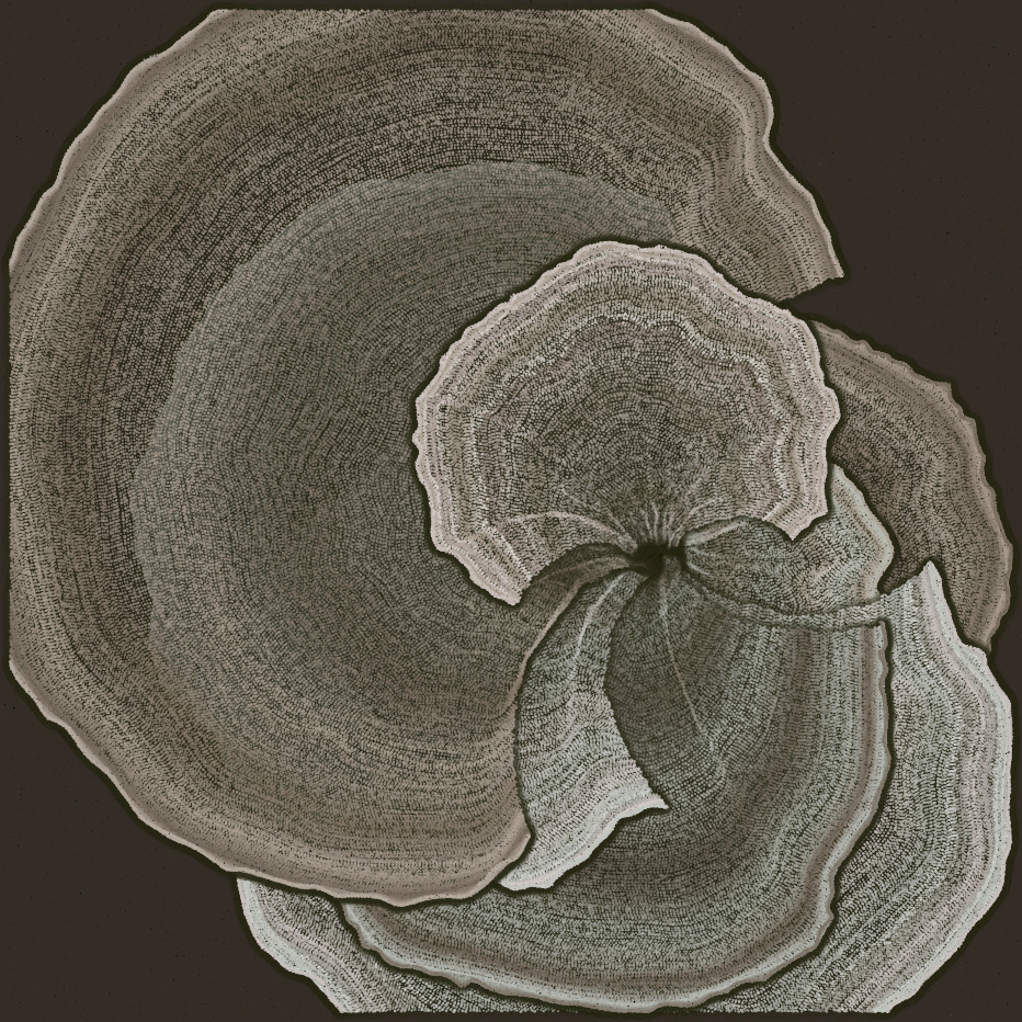 Padina #25, 2022. Paweł Grzelak. MIME: application/x-directory, Token: FA2, Storage: IPFS, Contract: KT1...