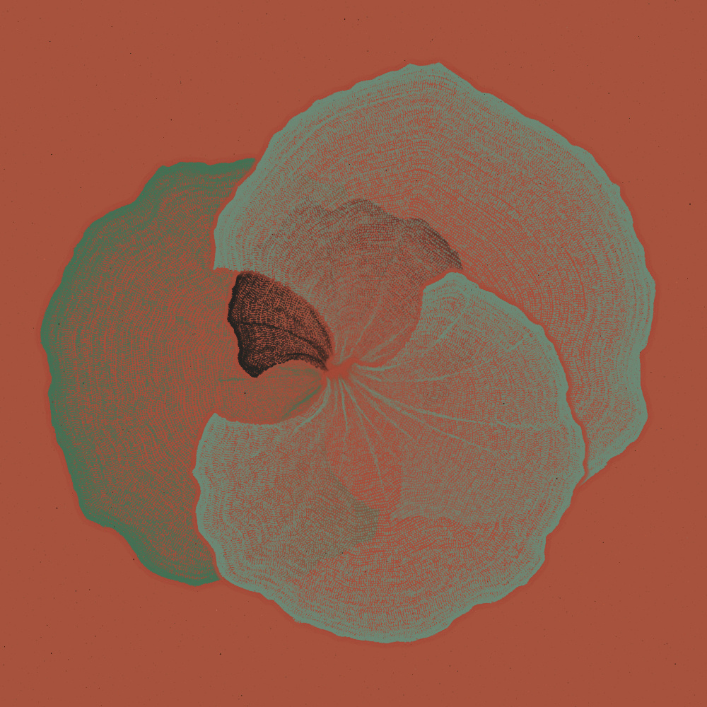 Padina #198, 2022. Paweł Grzelak. MIME: application/x-directory, Token: FA2, Storage: IPFS, Contract: KT1...