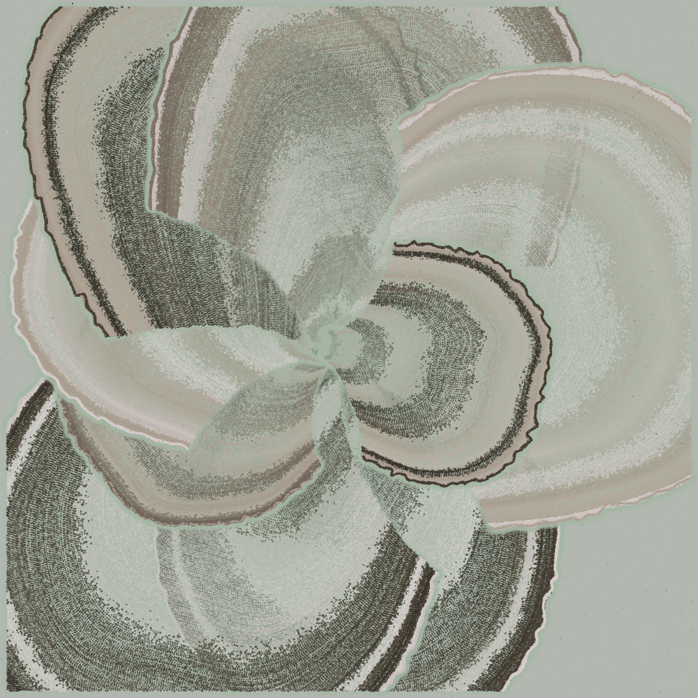 Padina #108, 2022. Paweł Grzelak. MIME: application/x-directory, Token: FA2, Storage: IPFS, Contract: KT1...