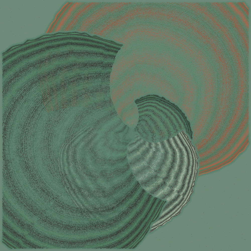 Padina #9, 2022. Paweł Grzelak. MIME: application/x-directory, Token: FA2, Storage: IPFS, Contract: KT1...