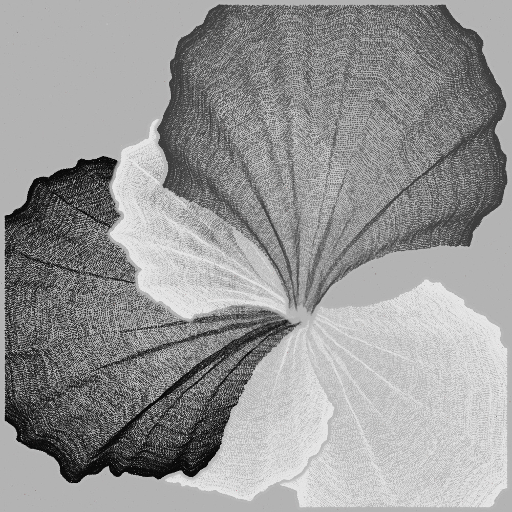 Padina #174, 2022. Paweł Grzelak. MIME: application/x-directory, Token: FA2, Storage: IPFS, Contract: KT1...