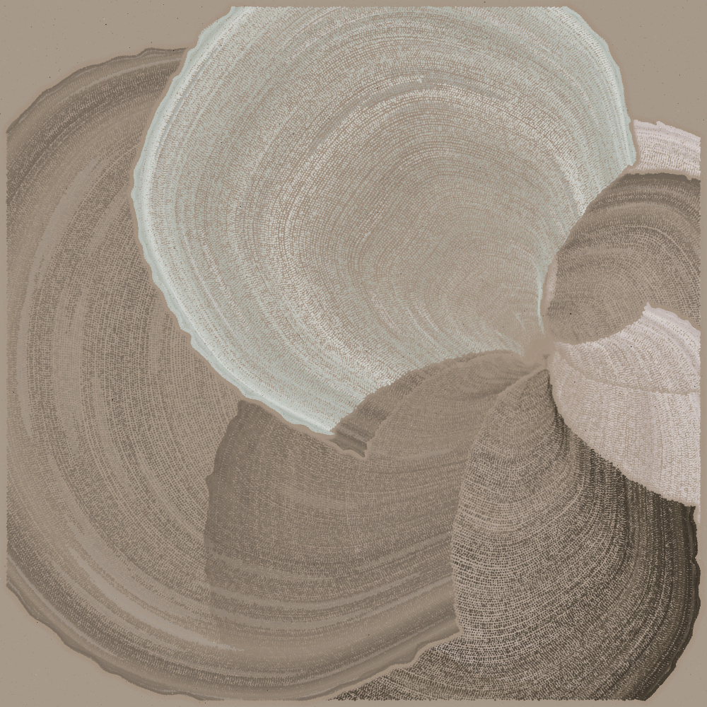 Padina #59, 2022. Paweł Grzelak. MIME: application/x-directory, Token: FA2, Storage: IPFS, Contract: KT1...