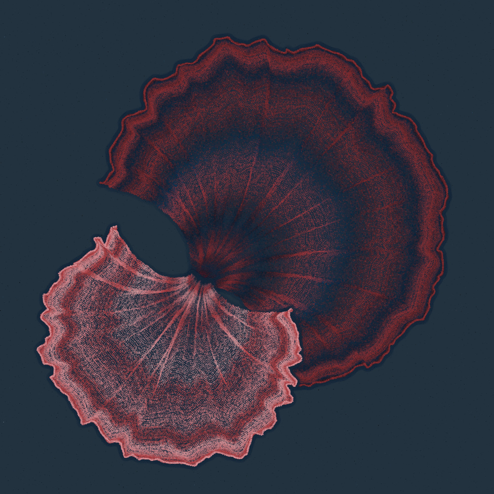 Padina #186, 2022. Paweł Grzelak. MIME: application/x-directory, Token: FA2, Storage: IPFS, Contract: KT1...