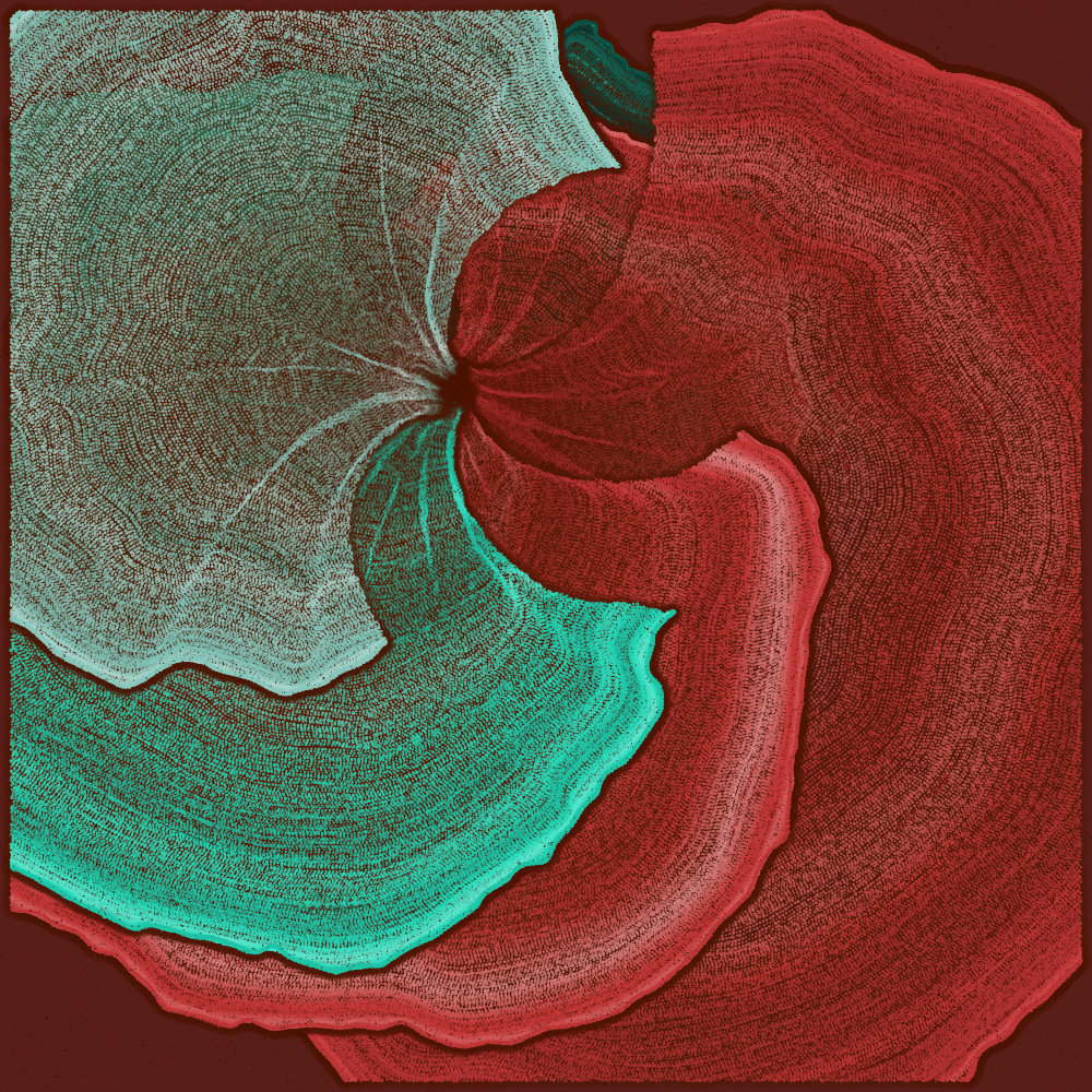 Padina #169, 2022. Paweł Grzelak. MIME: application/x-directory, Token: FA2, Storage: IPFS, Contract: KT1...