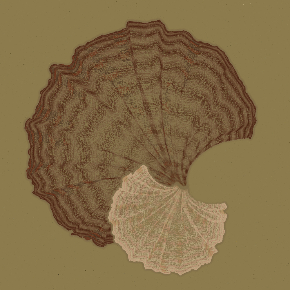 Padina #73, 2022. Paweł Grzelak. MIME: application/x-directory, Token: FA2, Storage: IPFS, Contract: KT1...