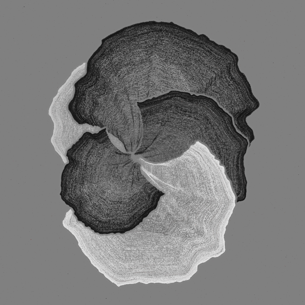 Padina #103, 2022. Paweł Grzelak. MIME: application/x-directory, Token: FA2, Storage: IPFS, Contract: KT1...