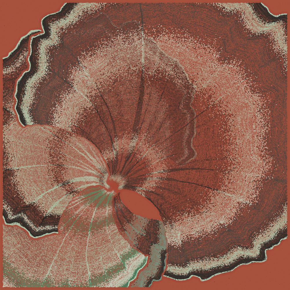 Padina #139, 2022. Paweł Grzelak. MIME: application/x-directory, Token: FA2, Storage: IPFS, Contract: KT1...