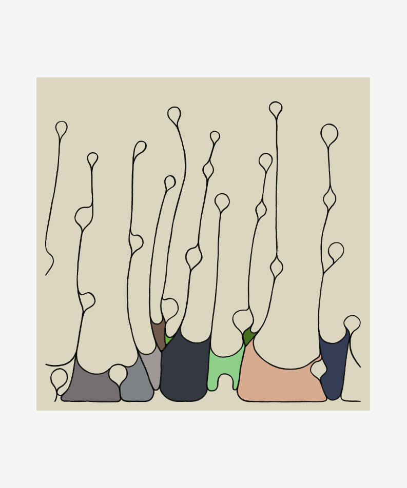 Clint Fulkerson United States Field Cycle, 2022 Digital illustration, editioned