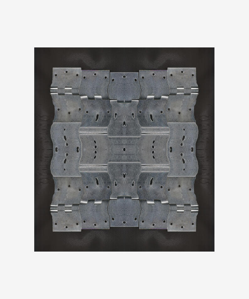 OHDE Argentina Hinge, 2025 Mixed-media digital, editioned