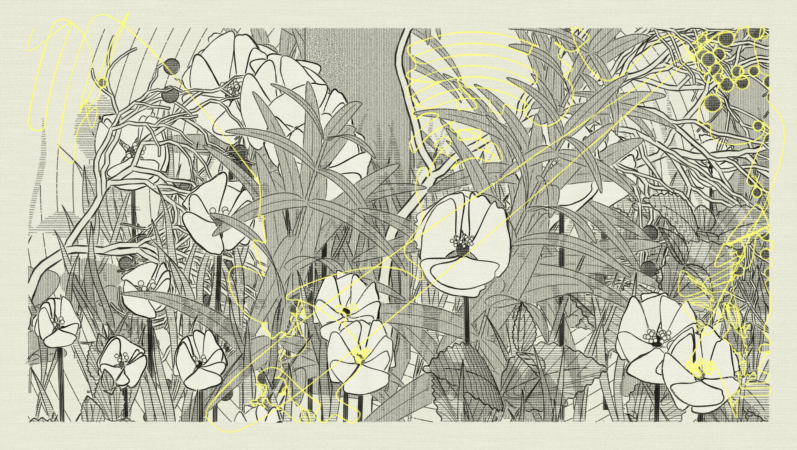 Charcoal Seeds, 2023. Michaël Zancan. MIME: application/x-directory, Token: FA2, Storage: IPFS, Contract: KT1...