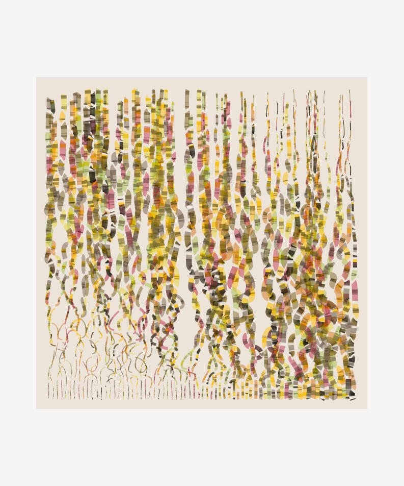 Yamil Burguener Argentina Sap Song, 2022 Code-based generative, long-form