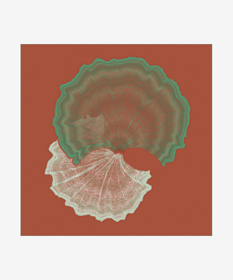 Paweł Grzelak Poland Padina, 2022 Code-based generative, long-form