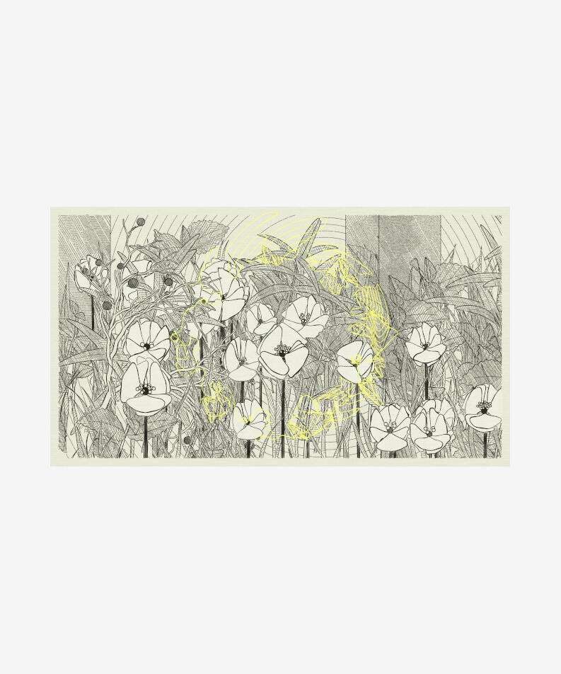 Michaël Zancan France Selected Works, 2022–2023 Code-based generative, long-form & editioned